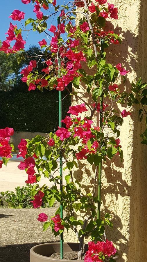 Langlade La Demeure D'Helice B&B 외부 사진